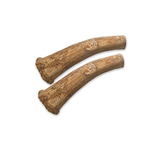 Nylabone NAN803TPP Healthy Edibles Wild Antler Natural Long Lasting Venison Flavor Dog Chew Treats Medium/Wolf thumb #8
