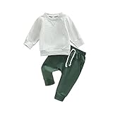 Toddler Baby Boy Clothes Solid Color Long Sleeve Crewneck Sweatshirt Top Casual Pants Set 2Pcs Fall Winter Outfits (Gray & Green, 12-18 Months)