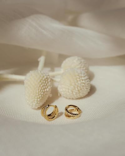 Gold Hoop Earrings for Women,14K Gold Huggie Hoop Earrings for Gift4