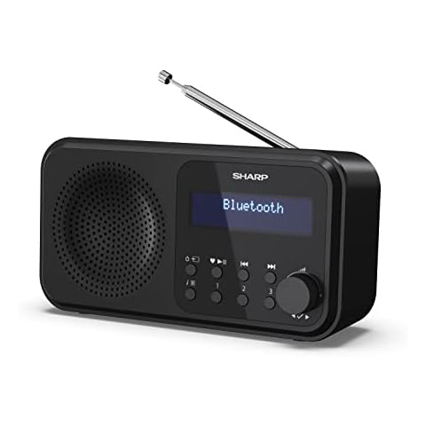 SHARP DR-P420 Radio numérique portable Cover