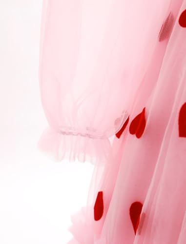 AWIBMK Girls Valentine's Day Dress Love Heart Strawberry Cherry Mesh Long Sleeve V-Neck Bowknot Tutu Tulle Party Dress4