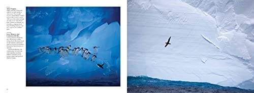 Antarctica: Life On The Frozen Continent (Wonders Of Our Planet) #TOP2