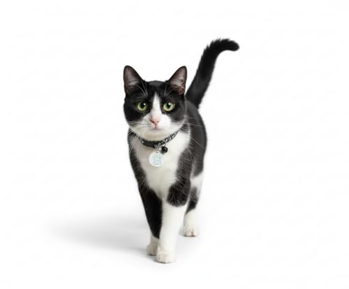 Kompatibel mit Sureflap Surefeed Microchip RFID Halsband-Tags Disc Key Ersatz (2 Stück)