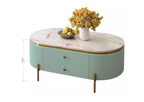 Image of Tesla Centre Table, White Marble Top with Gold Trim, Oval Modern Coffee Table with 2 Drawer Storage, Waterproof Plywood Base, PVD Metal Legs, for Living Room (Sky Blue)