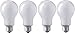 Eiko ECT 120V 500 Watt Inside Frosted Photoflood Lamp Bulb, Pack of 4