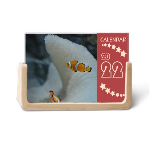 Calendrier de bureau poisson-clown 2022 pour ne plus oublier vos rendez-vous importants