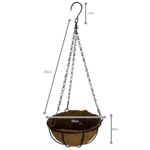 Vaso de Fibra de Coco 20cm de Plantas Suspenso com Corrente (5, 20cm)