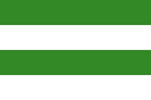 Drapeau Sachsen-Coburg-Gotha pour décoration intérieure et reconstitutions - 2