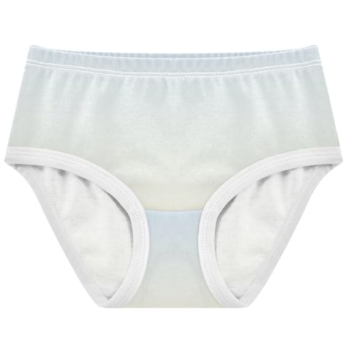 Joisal Cotton Girls Underwear Toddler Elegant Blue Cornsilk Gradient Panties Little Girl Flower Kids Undies Briefs 2t