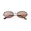 Tortoise Shell Frame /Champagne Lens