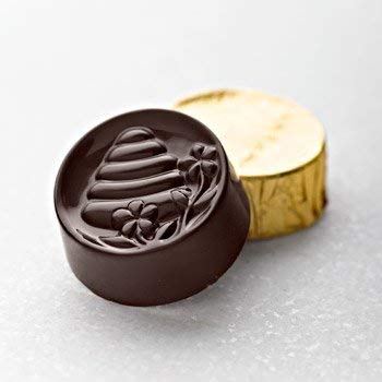 LAKE CHAMPLAIN CHOCOLATES Honey Caramel Chocolate Bar, 0.5 OZ