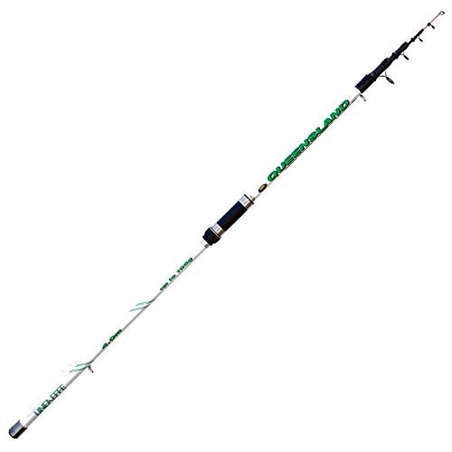 Lineaeffe Queensland 4 m up to 100 g Canna da Pesca Surfcasting Telescopica