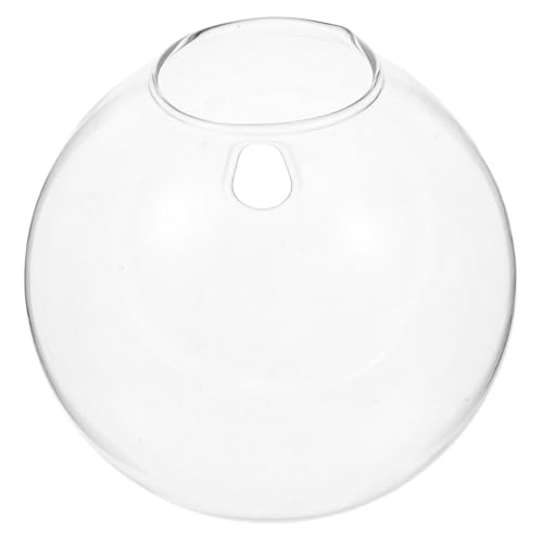 OFFSCH Vaso Da Parete in Vetro Trasparente Forma Di Sfera Per Piante Grasse Fiori e Piante Acquatiche Design Elegante e Funzione Di Sospensione Per Risparmiare Spazio