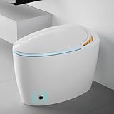 WinZo Bidet Toilet 10' Rough-in,Smart Toilet With Bidet,Oval Egg Modern Shaped, Auto Open/Flush, Adjusted Heated Seat, Warm Water and Dryer, Night Light, White