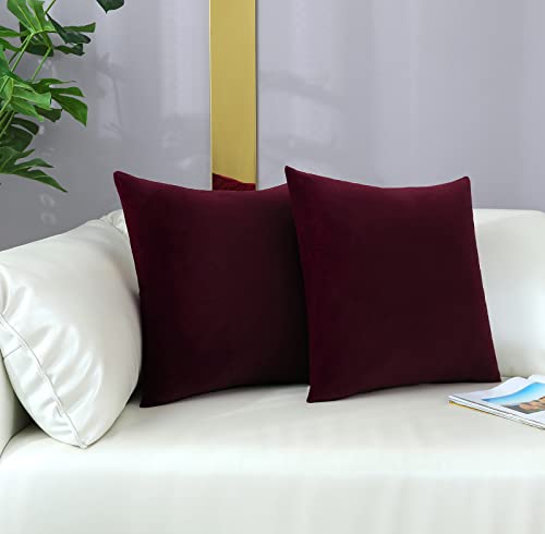 Decorative Super Soft Velvet Pillow Covers