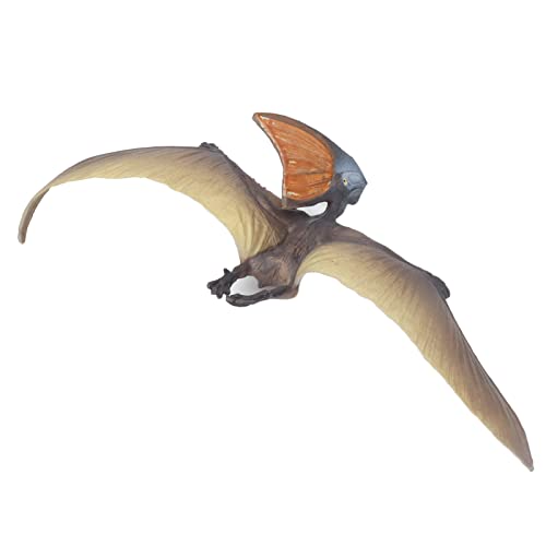 Brinquedos de dinossauro, modelo requintado de pterossauro com textura única para estudo (Pterodácti