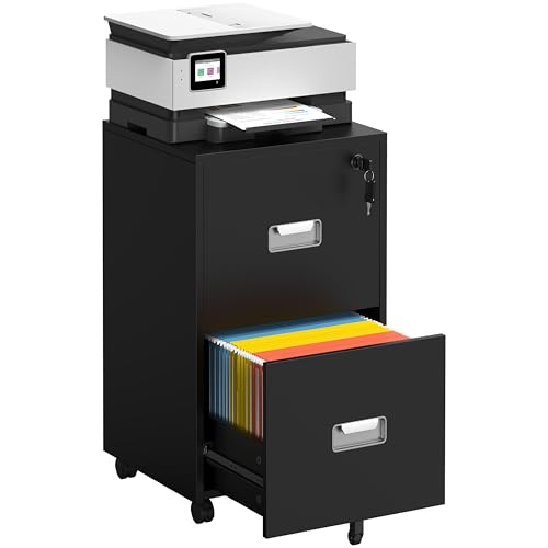 Supporto Multifunzione per Stampante: Quest’armadio archivio con 2 cassetti rappresenta una buona aggiunta al tuo spazio ufficio: Con una capacità di carico fino a 30 kg, il piano del tavolo è ideale per posizionare una stampante, un fax o oggetti essenziali come una lampada
