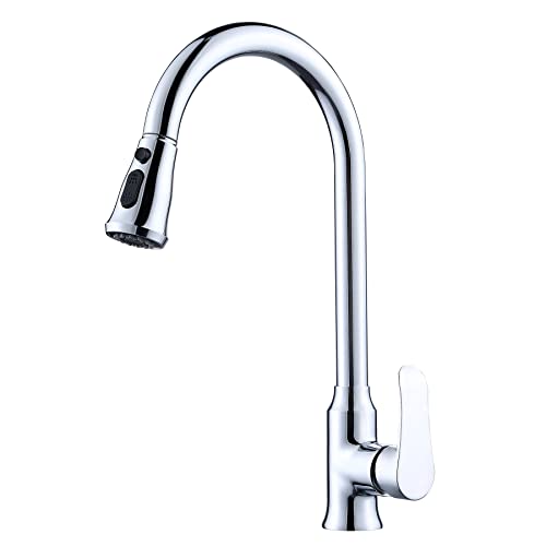 Jeonestan Kitchen Faucet with Pull Out Sprayer,Kitchen Sink Mixer