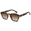 Tortoise Frame / Gradient Brown Lens