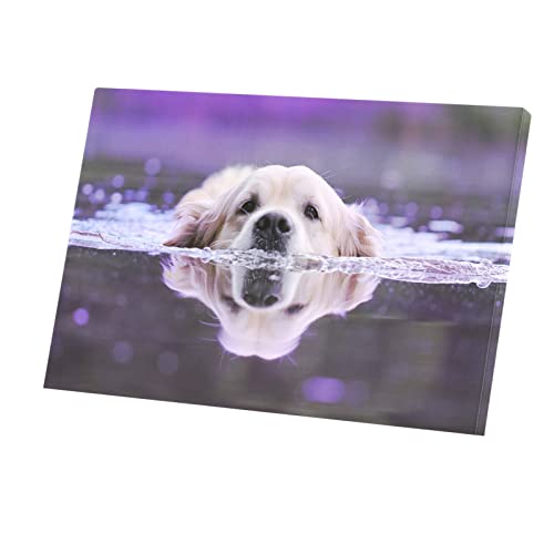 Toile grand chien beige pour décorer vos murs - Grand tableau Golden Retriever 90x60