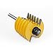 Pangyoo PYouo-Best Router bit 8mm 12mm 1/2