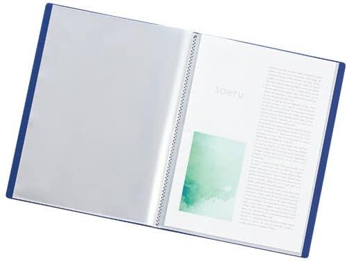 （まとめ）リヒトラブ soeru クリヤーブックA4タテ 10ポケット 背幅8mm フロストクリヤー N-8100-1 1冊【&times;10