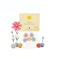 Nachhaltiges Mitbringsel: 5 bunte Blumenmurmeln | Farbenfrohe Seedbombs mit Wildblumensaatgut | Geschenk für Freunde, zur Aufmunterung, als Dankeschön & Sonnige Grüße | 100% ökologisch