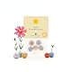 Nachhaltiges Mitbringsel: 5 bunte Blumenmurmeln | Farbenfrohe Seedbombs mit Wildblumensaatgut | Geschenk für Freunde, zur Aufmunterung, als Dankeschön & Sonnige Grüße | 100% ökologisch