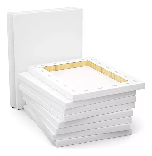 Tela de Pintura 15x20