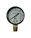 Campbell 0 psi 30 psi Pressure Gauge