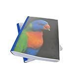 Coverbind Clear Linen Wrap-Around Thermal Binding Report Covers - 1/4 inch Spine, Letter Size, Royal Blue, Portrait - Qty 80 (08CB14RYBLU)