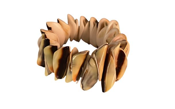 See full amazon price history chart for Natural Shell Bracelet - Medium (Medium) Natural Shell Bracelet - Medium (Medium) (B0DC56YWWW) Amazon Price History, Amazon Price Tracker