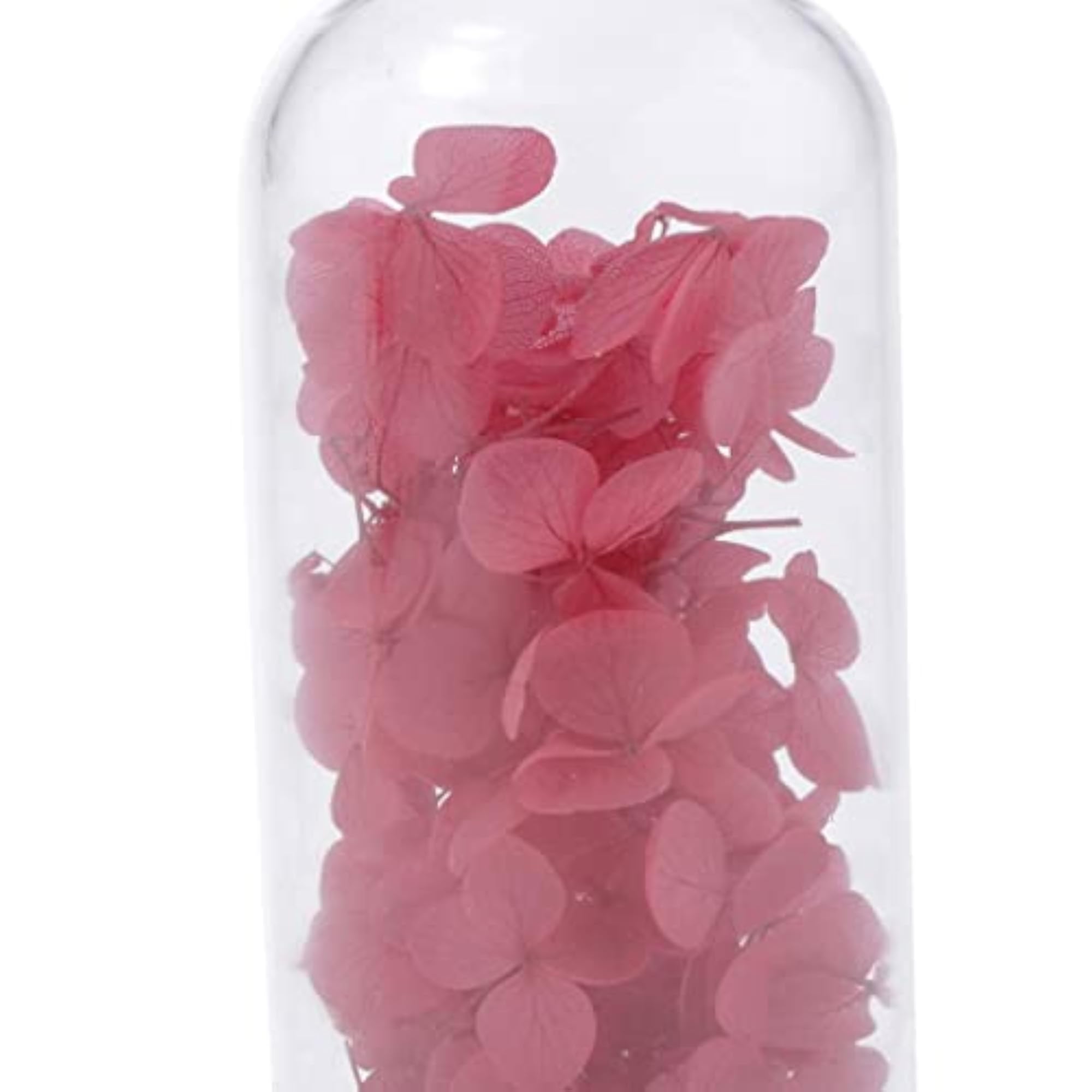 Dried Flower in Glass Bottle, MicroLandscape Decor