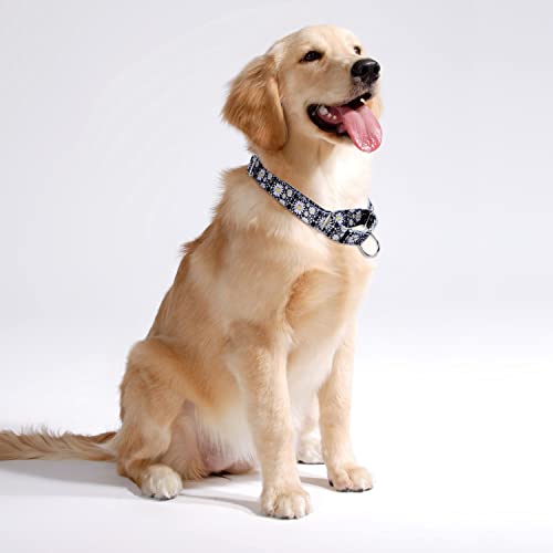 haoyueer Heavy Duty Nylon Adjustable Martingale Dog Collar for Walking Training Boy and Girl Dogs (L:45-53CM, Little Daisy) - Image 3
