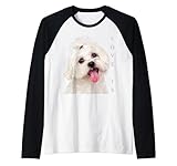 Camisas de bichón de Navidad para mujeres, hombres, niñas, niños, niños. Camisetas de bichón con perro para mamá bichón, papá bichón, amantes de bichón, dueños. Camisas de Navidad con bichón en ellos. Ropa de bichón, bolsa de bichón frisé. Cachorros de bichón frisé.