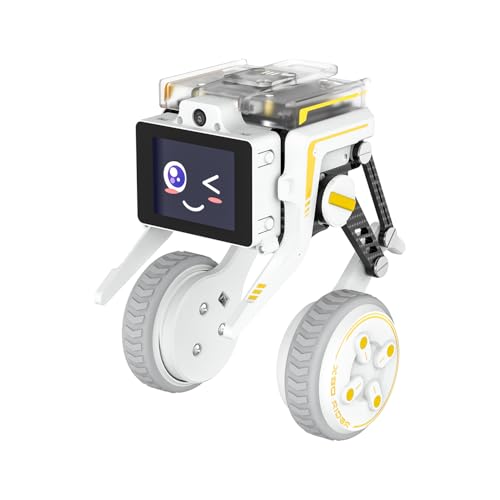 Image of Yahboom Raspberry-Pi Compute Module 5 Self-Balancing Python Programming Robot Two-Wheeled AI Vision Recognition Bionic Built-in IMU,Provide AI Data (Includes CM5)