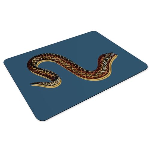 Set de table bleu en caoutchouc couleuvre léopard grand format
