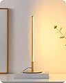 EDISHINE LED Table Lamp, Dimmable Bedside Lamp with 3 Colour Temperature, Touch Controller, Minimalist Lamp for Bedroom, Living Room, Corner Lighting, Gift, Reading, Metal Finish, Gold, 6W