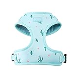 Wagging Tail Premium No Pull Dog Harness - Adjustable, Soft, Cute Dog Vest for Medium, Large & Small Dogs (Cactus, Medium)