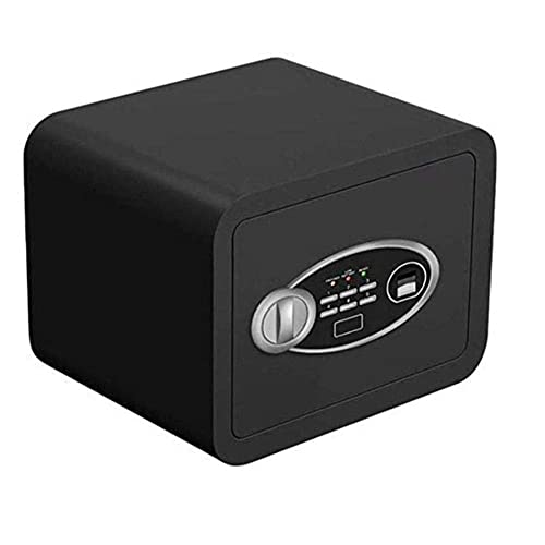 Armoire à clés biométrique avec alarme anti-effraction