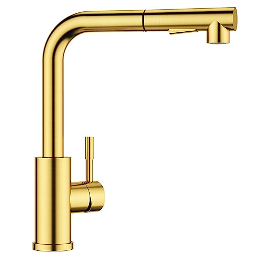 Forious Grifo Cocina Extraible, Grifo De Cocina Fregadero Con Ducha De 2 Modos De Rociado Giratorio A 360 , Torneira Cozinha Monomando Flexible, Caliente Y Fria Agua, Oro Cepillado Forious Grifo Cocina Extraible, Grifo De Cocina Fregadero Con Ducha De 2 Modos De Rociado Giratorio A 360 , Torneira Cozinha Monomando Flexible, Caliente Y Fria Agua, Oro Cepillado