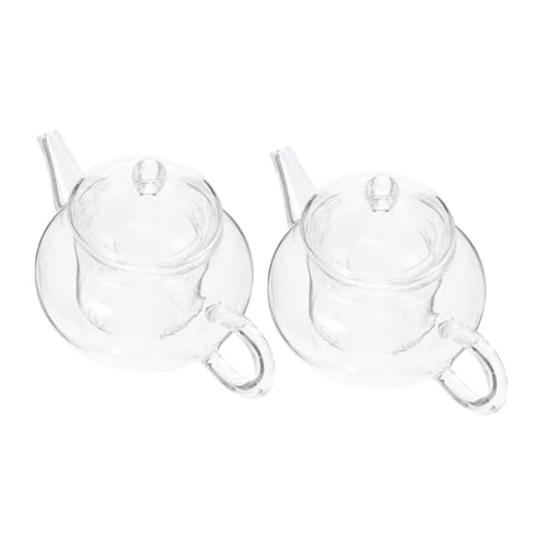 Abaodam 2個 加厚高硼硅ガラスティーポット フィルター付き 手持ち式 耐熱家用急須 花茶 果実茶 薬草茶対応 お手入れ簡単軽量デザイン