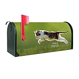 banjado® Amerikanischer Briefkasten - US Mailbox/Letterbox mit Motiv Jagende Katze 51x22x17cm - Postkasten Stahl aus Amerika – Briefkasten amerikanisch grün pulverbeschichtet