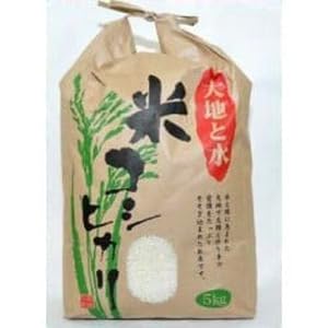 ちばエコ農産物のお米「大地と水」(コシヒカリ) 令和7年産 8kg|おこめ こしひかり 産地 直送 千葉 印西 [0516]