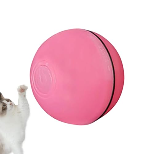 Cat Ball Toy | œ C^NeBu {[ | L̉^ǐՒmߋ - Pp