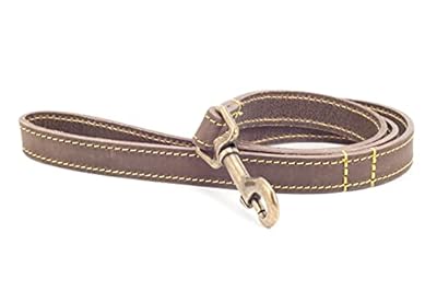 Ancol Timberwolf Leather Dog Lead, 1 m, Sable