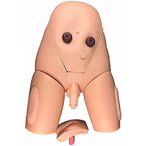 Modelo de catéter humano intercambiable para enseñanza y enema de precisión 5