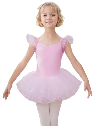 HIPPOSEUS Ragazza Vestito da Balletto Tutu Body Danza Bambina Classica Balletto Abito Manica Corta,Y-04WDM-Rosa Balletto, 12 anni