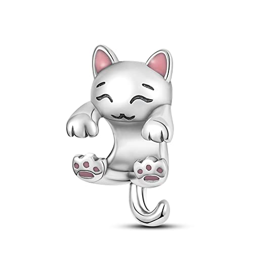 KUNVONIC Charms Abalorios Colgante para mujer, plata de ley 925, compatible con pulseras y collares Pandora, compatible con pulseras europeas para mujeres y niñas