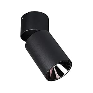 10W LED plafonnier Spot de Plafond de la Surface d’intérieur Mount Spot Spot, luminaires de Plafond réglable, Salon Couloir Spot directeurs, galerie éclairage d’image (Color : Black-6000K)